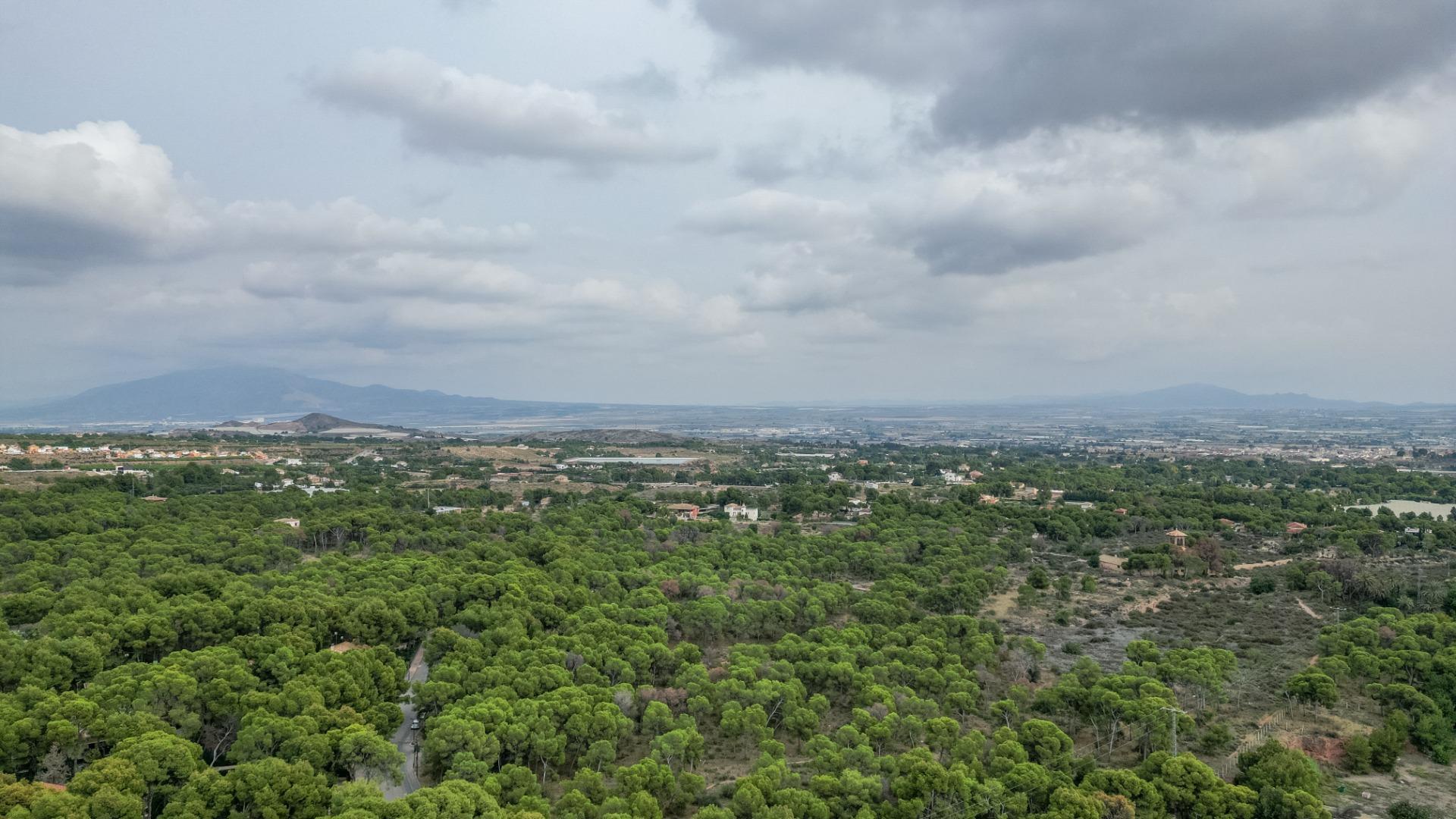 Casas o chalets-Venta-Totana-1900496-Foto-49