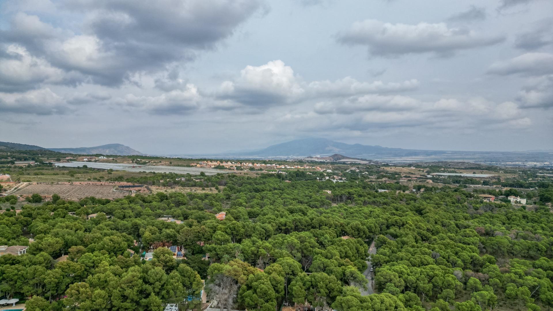 Casas o chalets-Venta-Totana-1900496-Foto-54