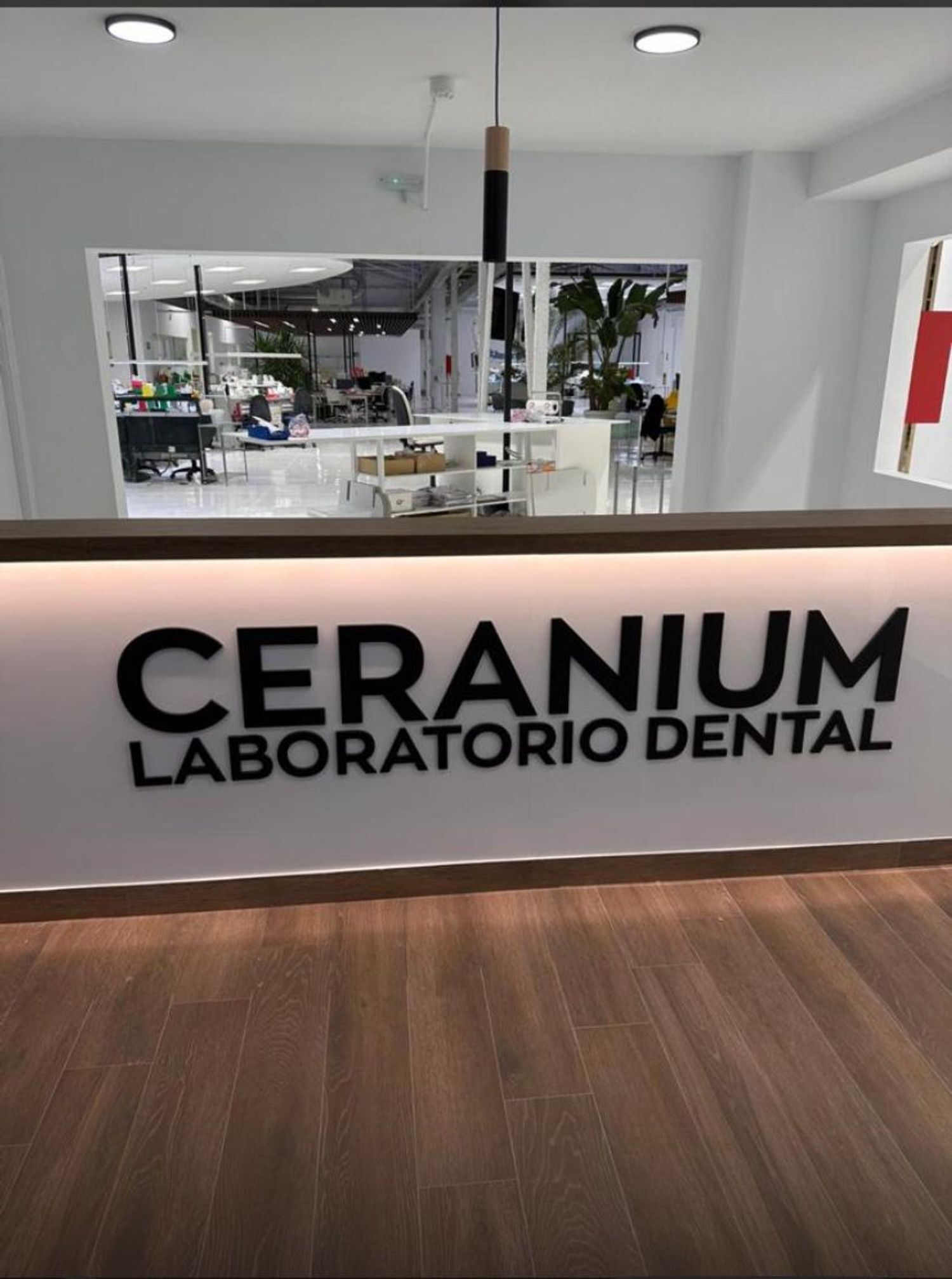 Propiedad en alquiler en Madrid, Pinto