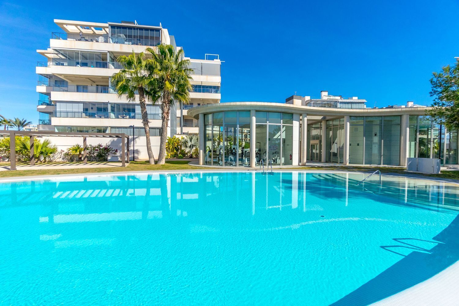 Pisos-Venta-Orihuela-1652310-Foto-6