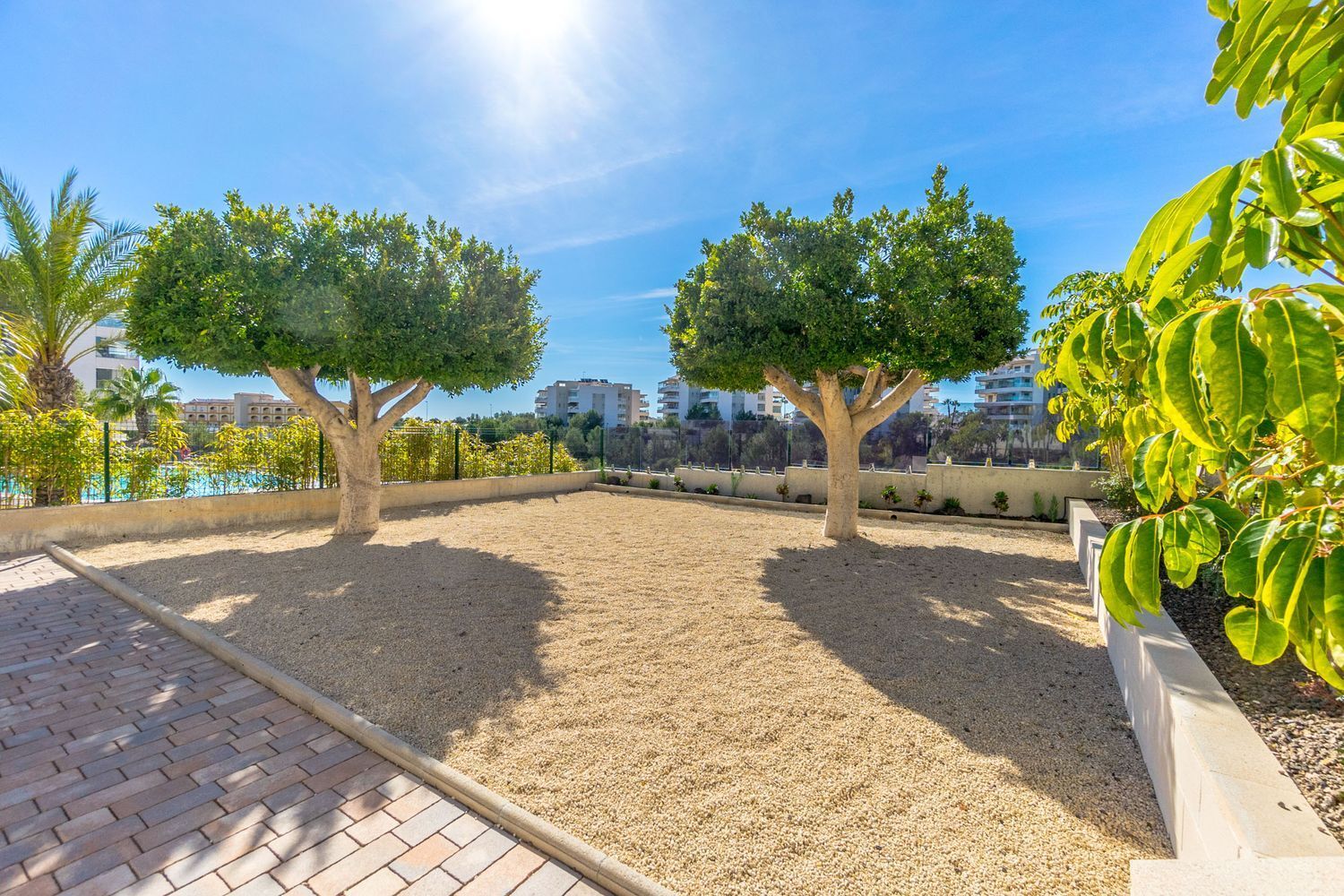 Pisos-Venta-Orihuela-1652310-Foto-27