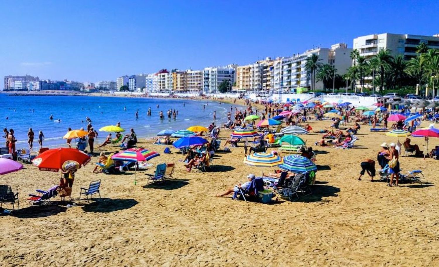 Pisos-Venta-Torrevieja-1974836-Foto-25