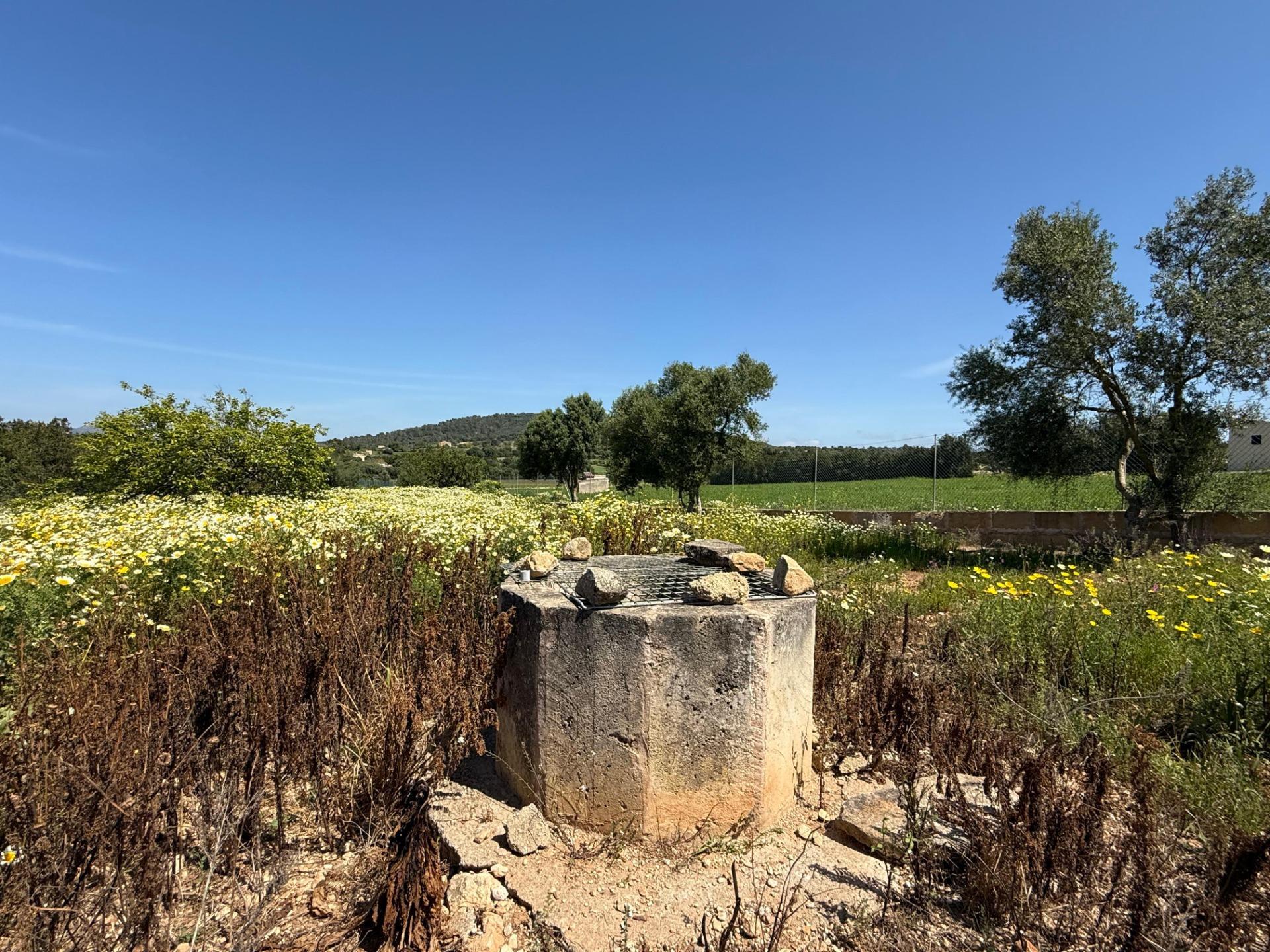 Fincas y solares-Venta-Manacor-1763861-Foto-4