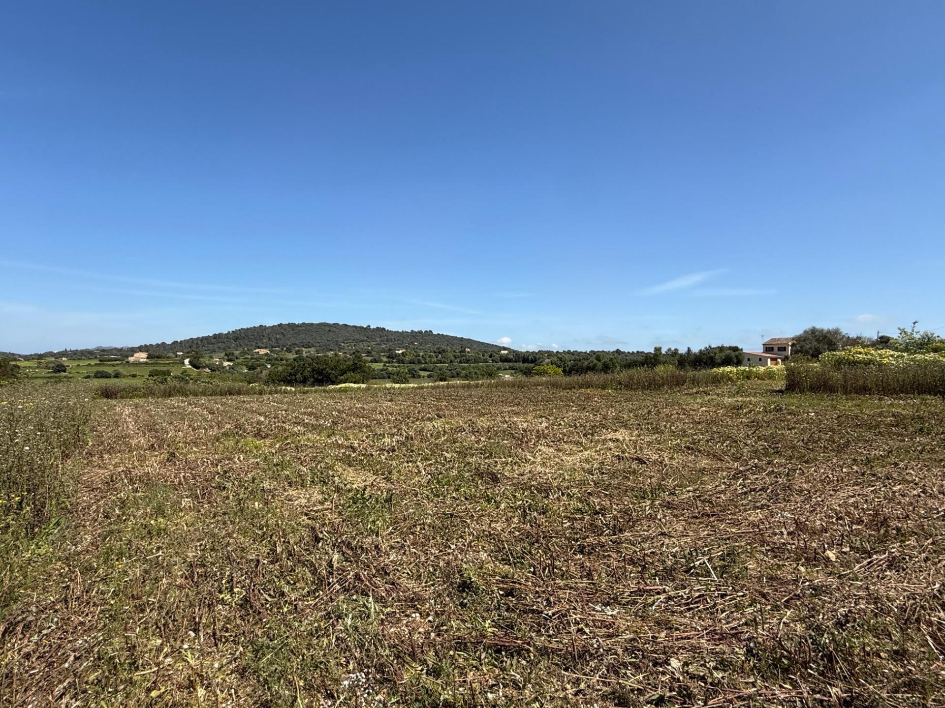 Fincas y solares-Venta-Manacor-1763861-Foto-9