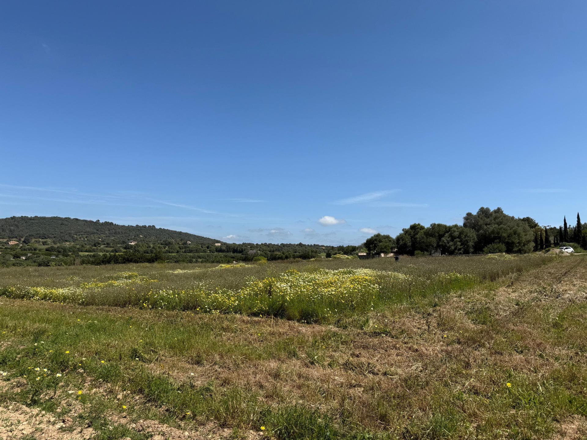 Fincas y solares-Venta-Manacor-1763861-Foto-15