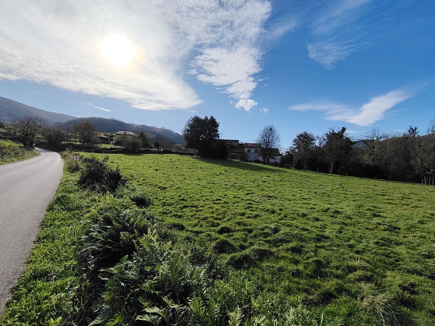 Fincas y solares-Venta-Villaviciosa-1974848-Foto-12