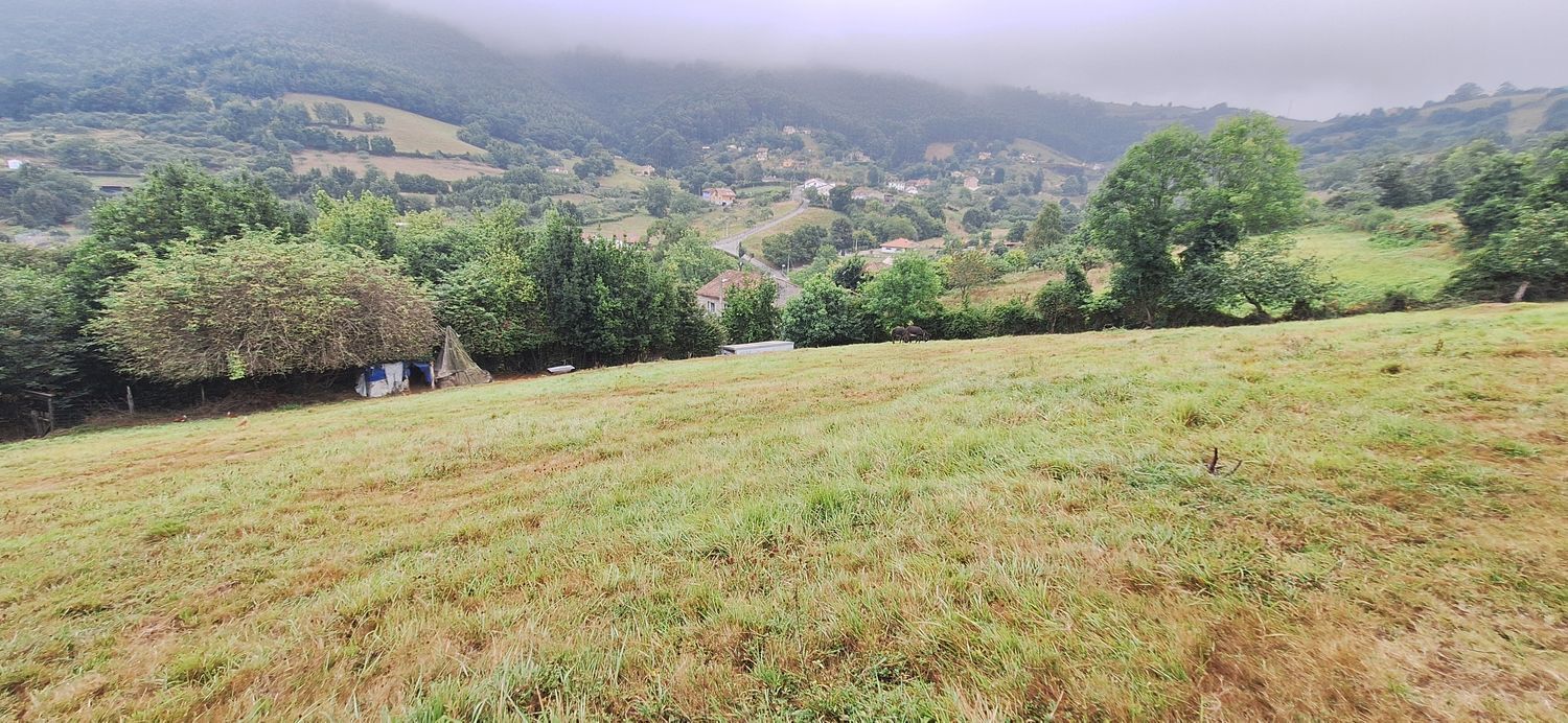 Fincas y solares-Venta-GijÃ³n-1834073-Foto-13