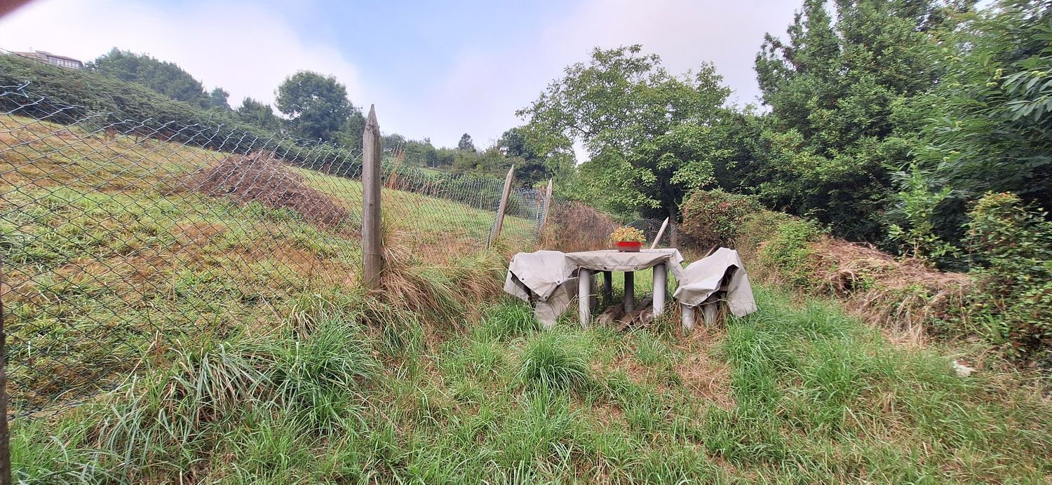 Fincas y solares-Venta-GijÃ³n-1834073-Foto-12