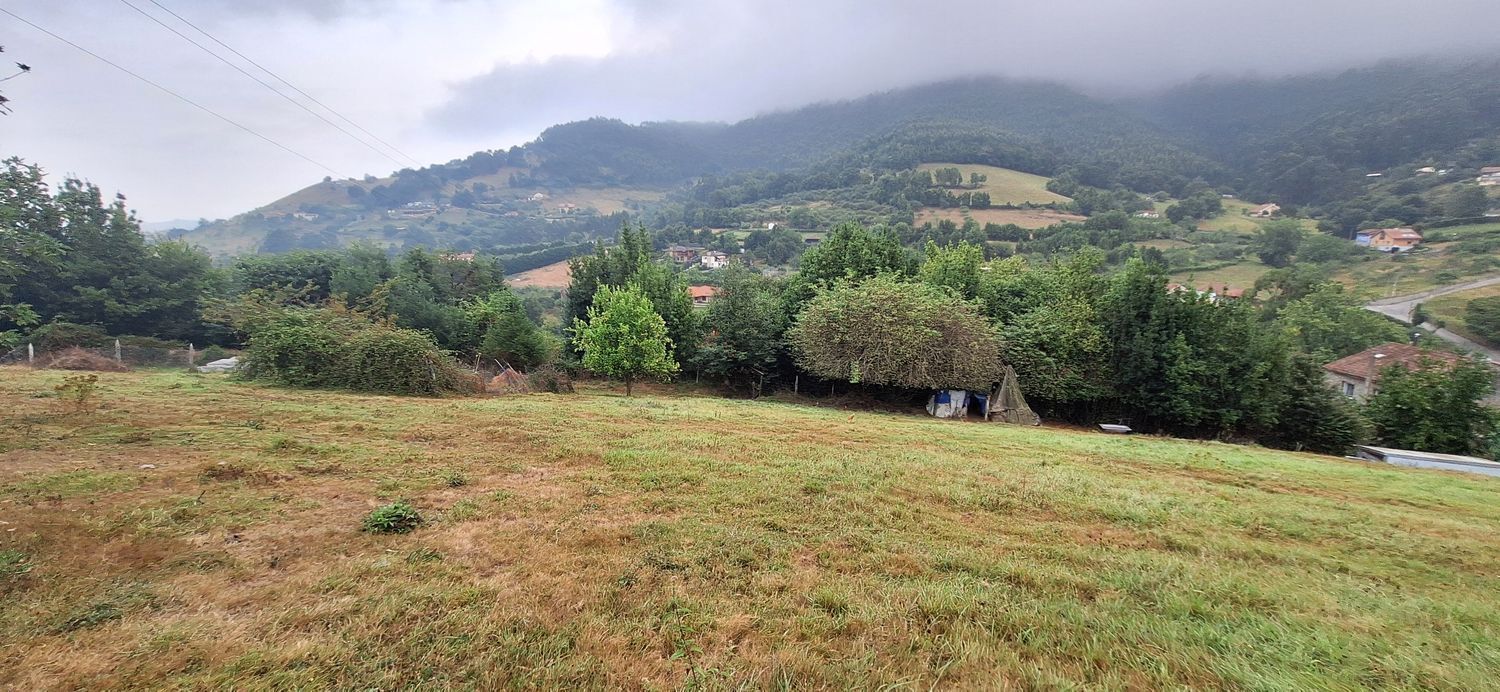 Fincas y solares-Venta-GijÃ³n-1834073-Foto-19