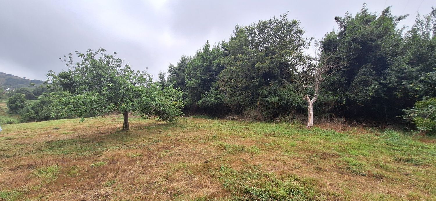 Fincas y solares-Venta-GijÃ³n-1834073-Foto-20