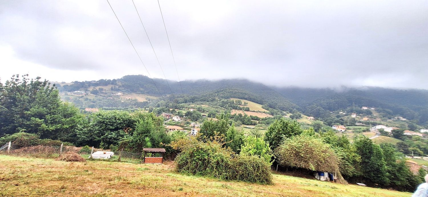 Fincas y solares-Venta-GijÃ³n-1834073-Foto-21