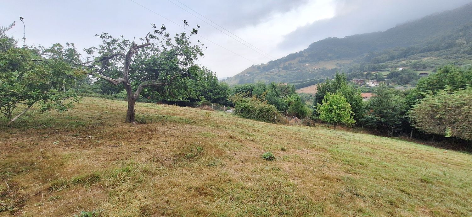 Fincas y solares-Venta-GijÃ³n-1834073-Foto-18