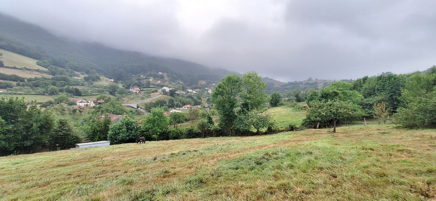 Fincas y solares-Venta-GijÃ³n-1834073-Foto-23