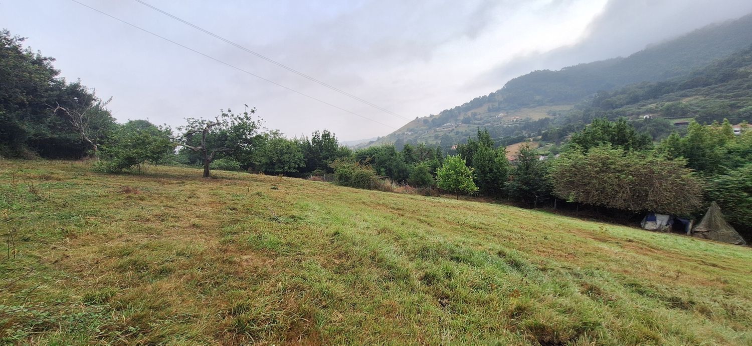 Fincas y solares-Venta-GijÃ³n-1834073-Foto-24