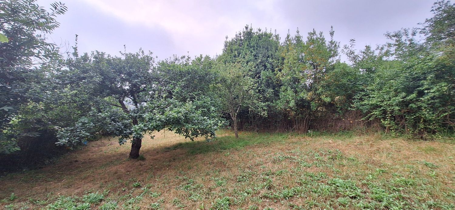 Fincas y solares-Venta-GijÃ³n-1834073-Foto-27