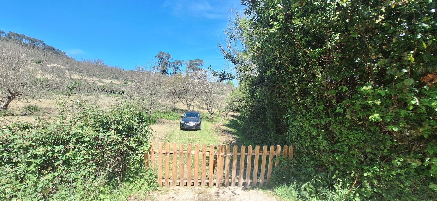 Fincas y solares-Venta-GijÃ³n-1720275-Foto-5