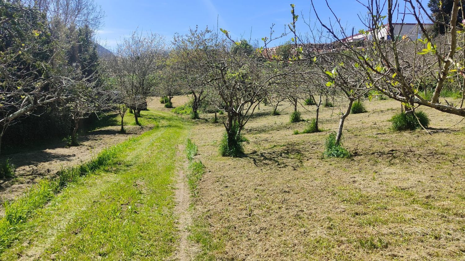 Fincas y solares-Venta-GijÃ³n-1720275-Foto-6