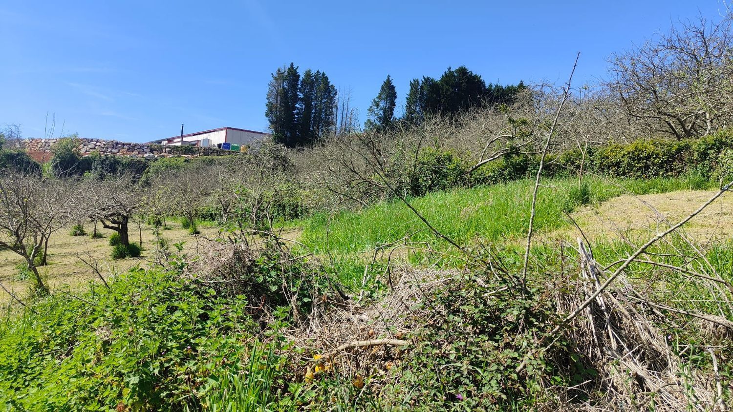 Fincas y solares-Venta-GijÃ³n-1720275-Foto-9