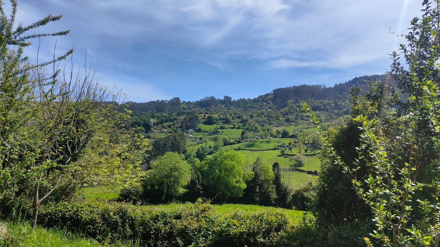 Fincas y solares-Venta-GijÃ³n-1720275-Foto-12