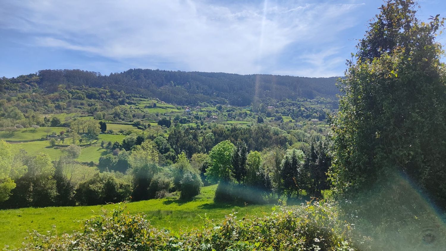 Fincas y solares-Venta-GijÃ³n-1720275-Foto-13