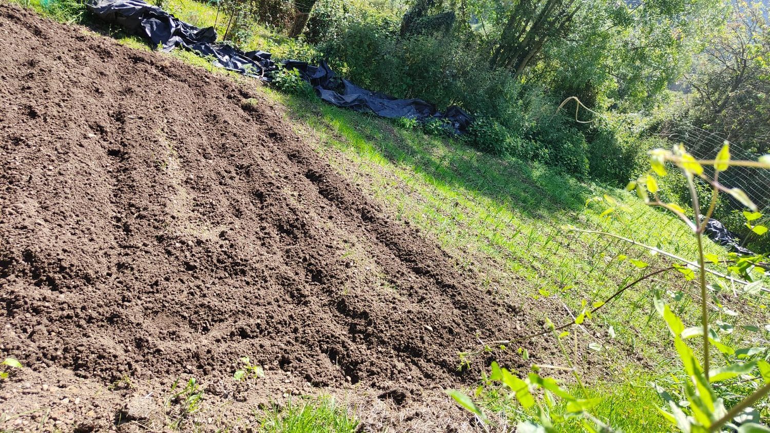 Fincas y solares-Venta-GijÃ³n-1720275-Foto-21