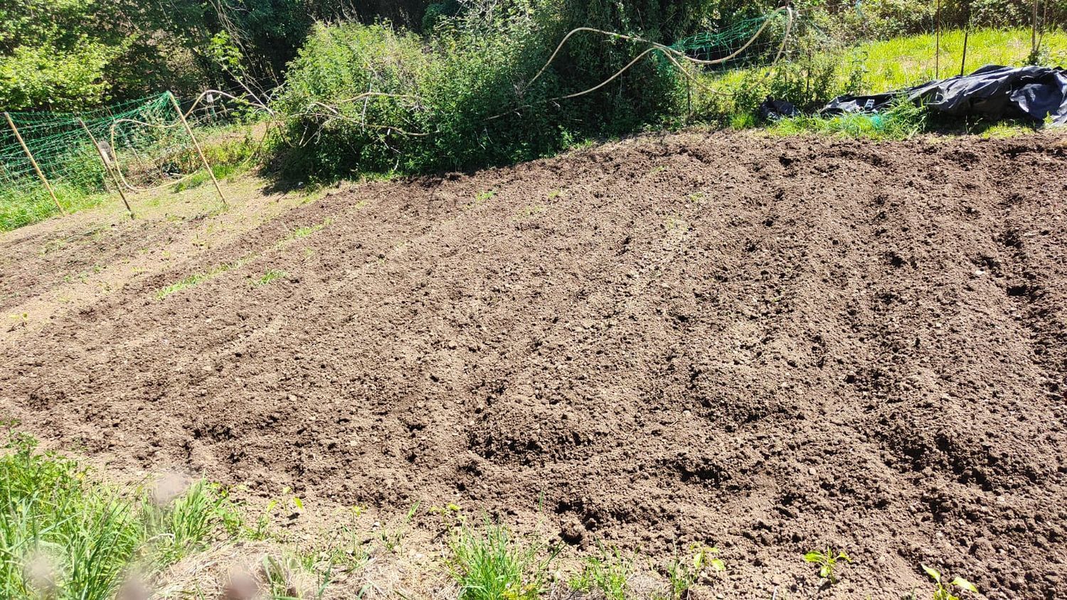 Fincas y solares-Venta-GijÃ³n-1720275-Foto-20