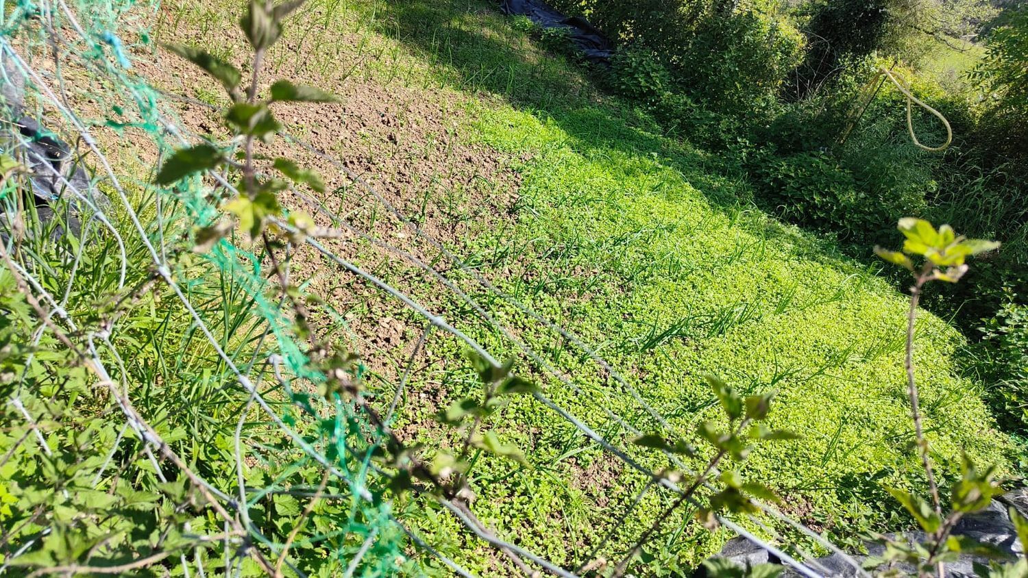 Fincas y solares-Venta-GijÃ³n-1720275-Foto-19