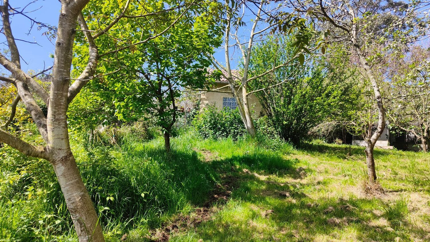 Fincas y solares-Venta-GijÃ³n-1720275-Foto-22