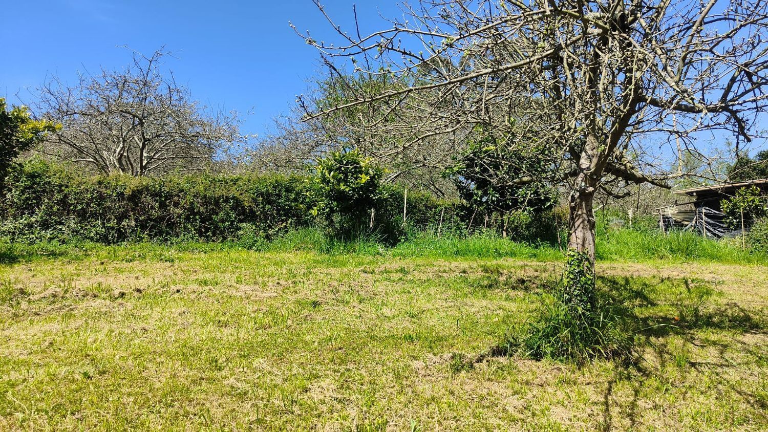 Fincas y solares-Venta-GijÃ³n-1720275-Foto-16