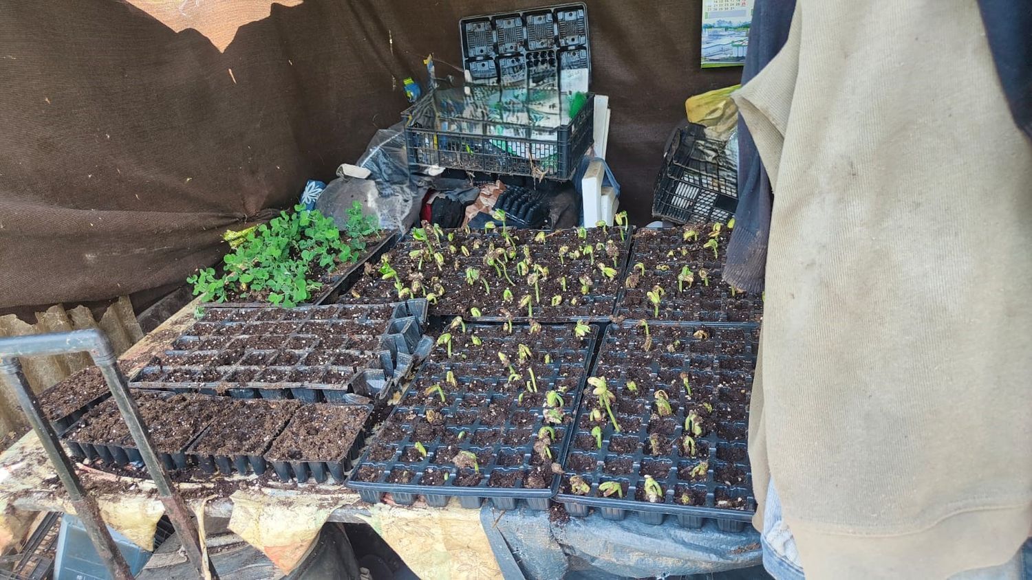 Fincas y solares-Venta-GijÃ³n-1720275-Foto-24