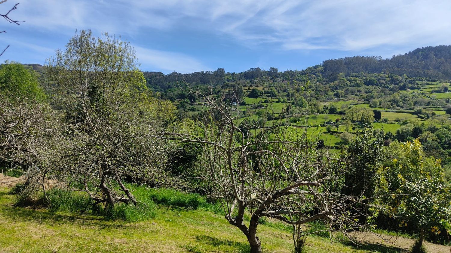 Fincas y solares-Venta-GijÃ³n-1720275-Foto-26