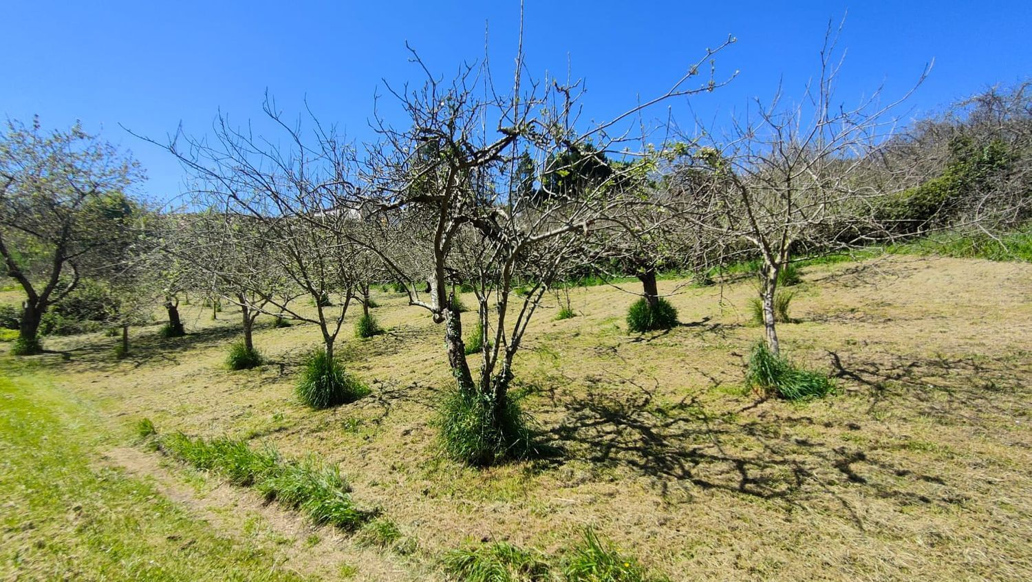 Fincas y solares-Venta-GijÃ³n-1720275-Foto-33