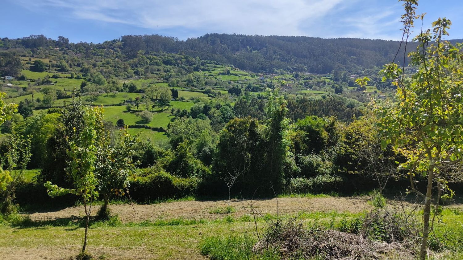 Fincas y solares-Venta-GijÃ³n-1720275-Foto-31