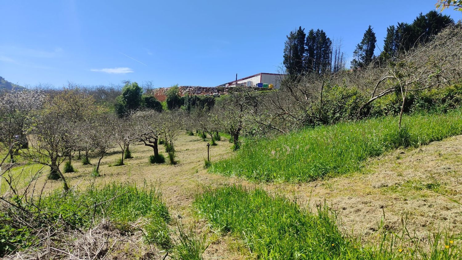 Fincas y solares-Venta-GijÃ³n-1720275-Foto-32