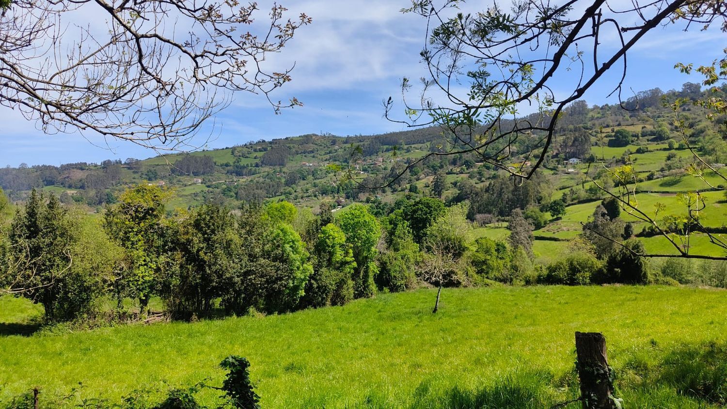 Fincas y solares-Venta-GijÃ³n-1720275-Foto-35