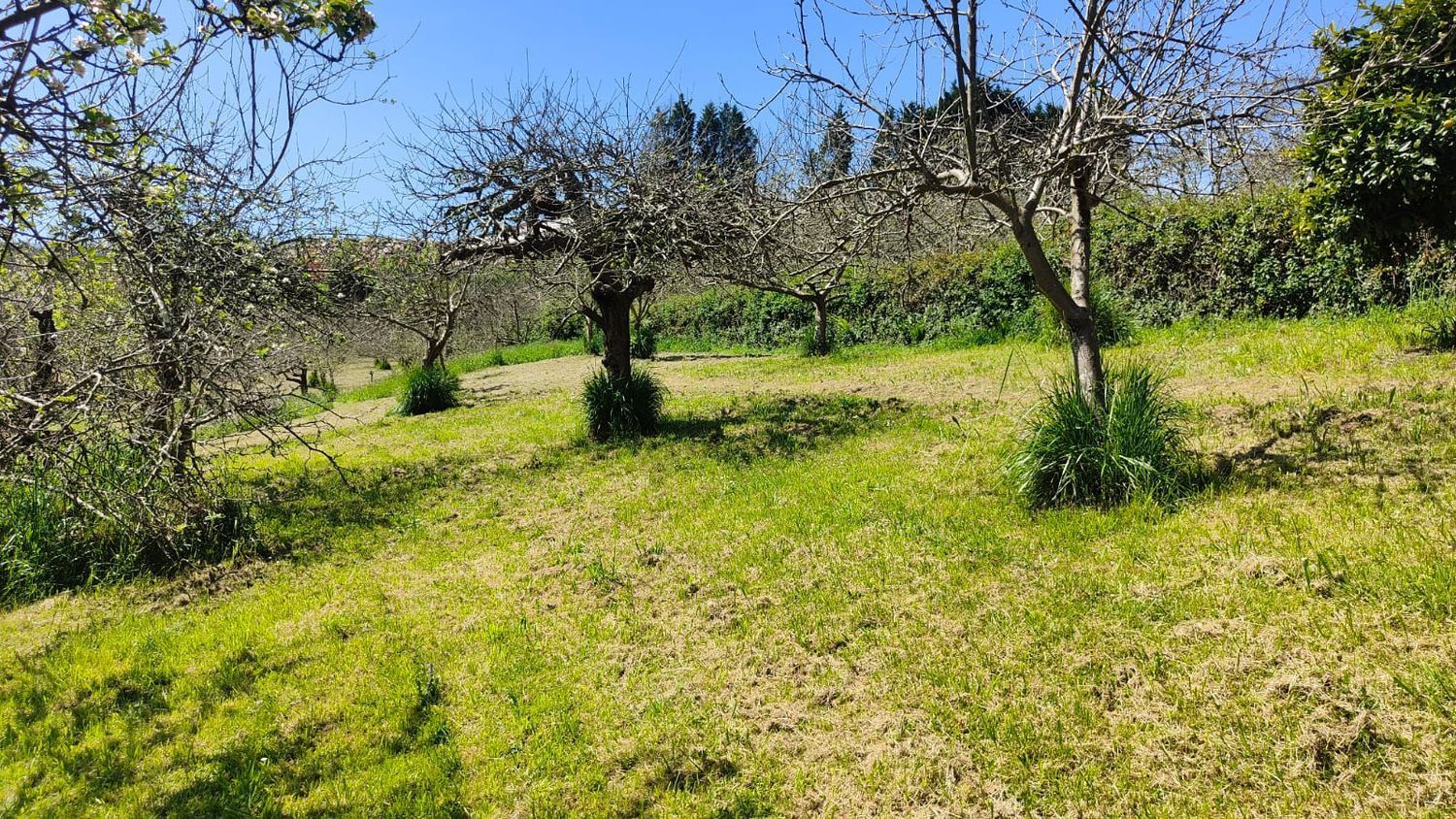 Fincas y solares-Venta-GijÃ³n-1720275-Foto-36