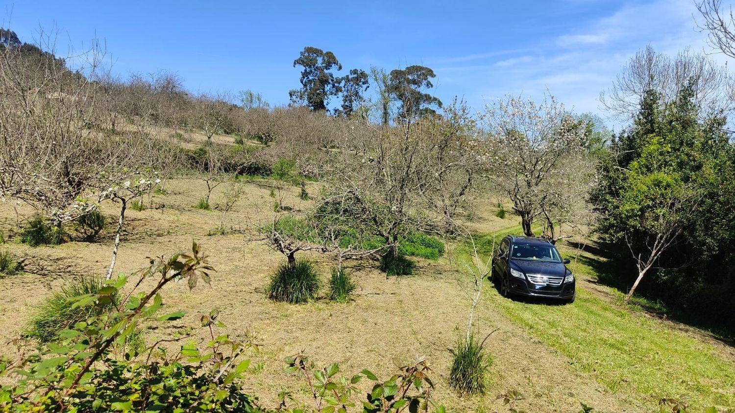 Fincas y solares-Venta-GijÃ³n-1720275-Foto-38