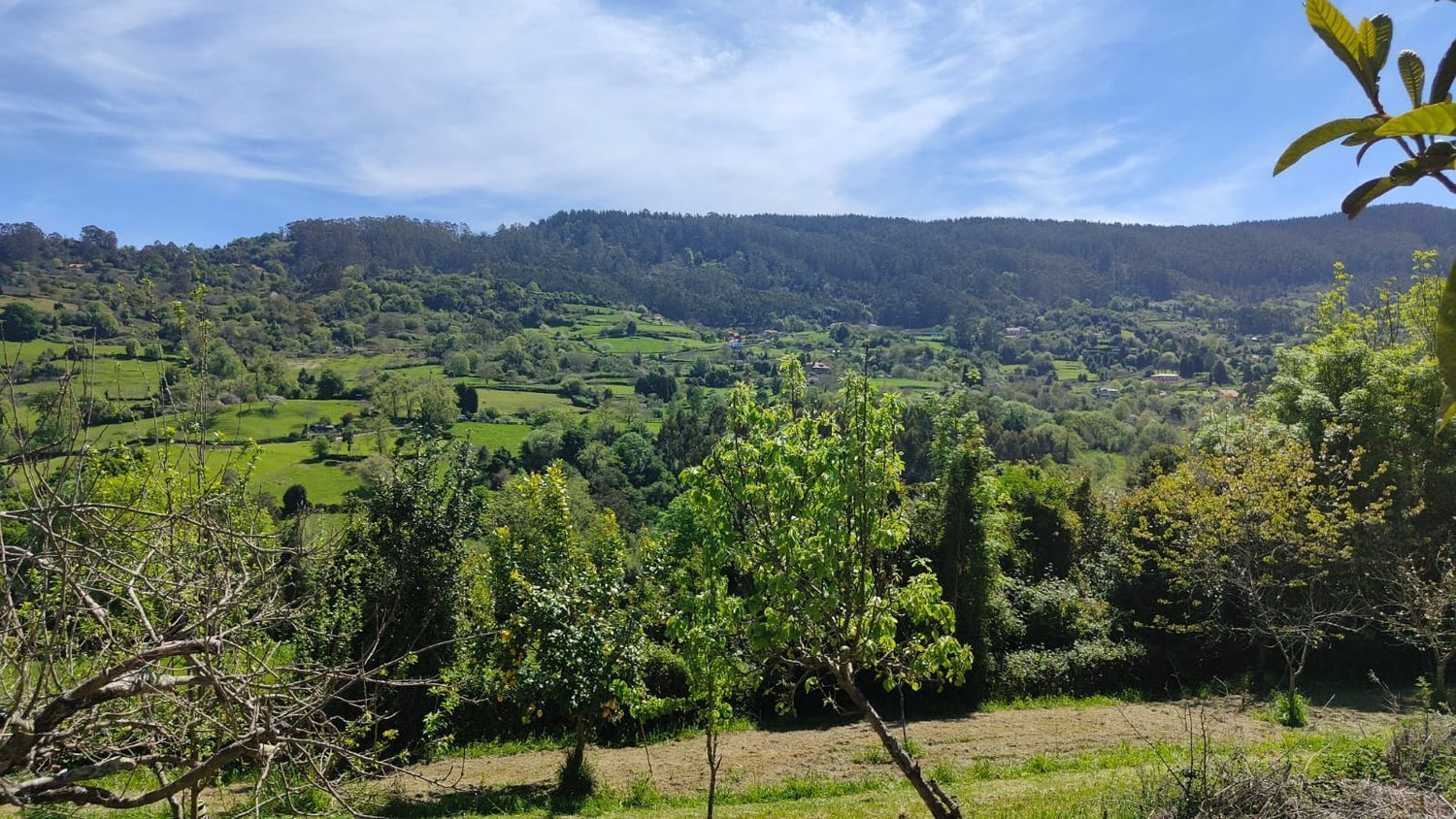 Fincas y solares-Venta-GijÃ³n-1720275-Foto-41