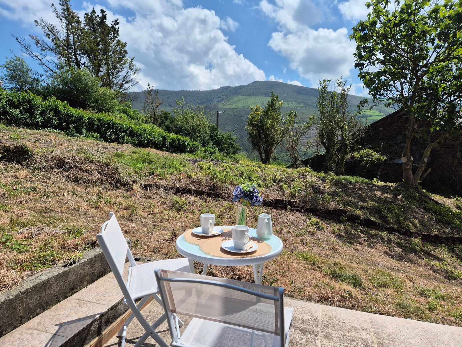 Casas o chalets-Venta-1831224