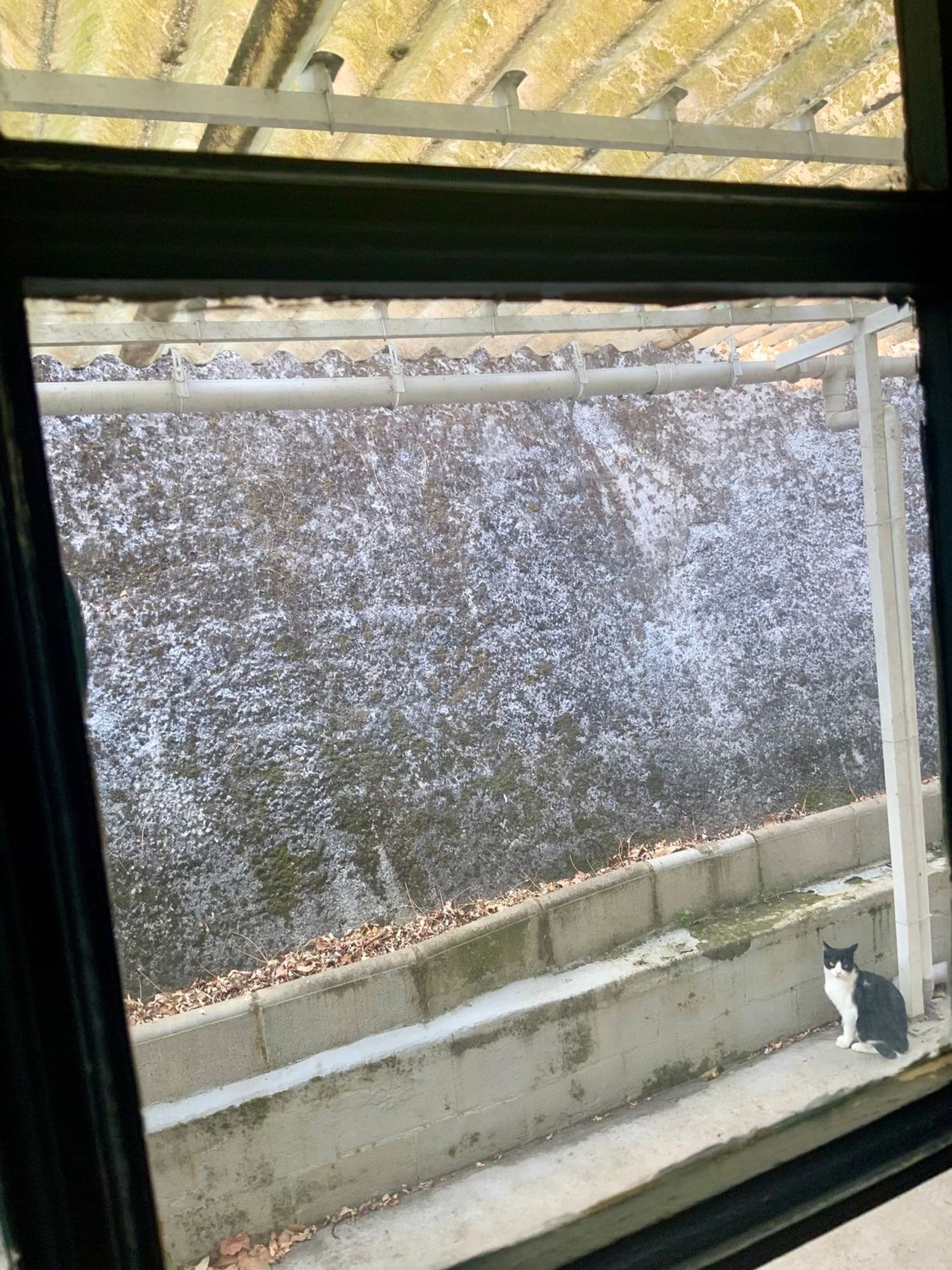 Pisos-Venta-ValdÃ©s-1845942-Foto-6