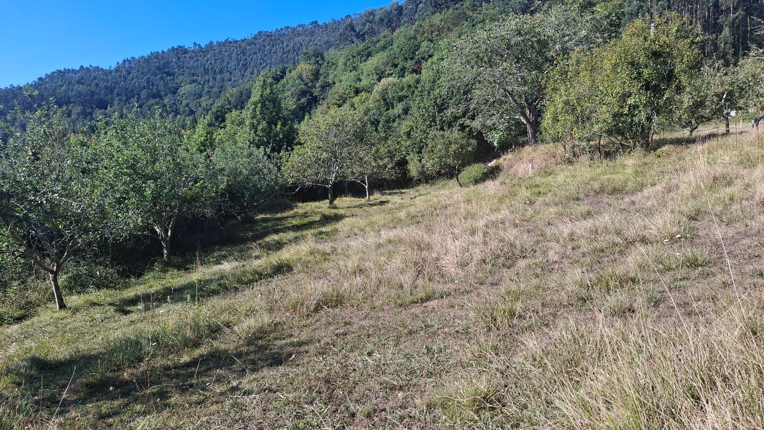 Fincas y solares-Venta-1969765