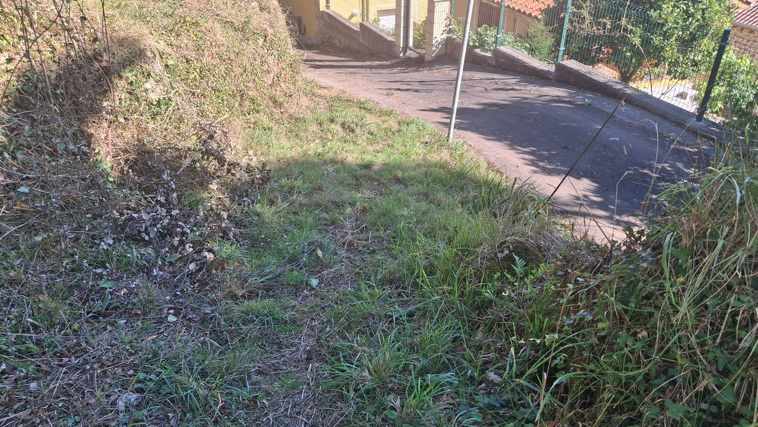 Fincas y solares-Venta-Villaviciosa-1969765-Foto-13