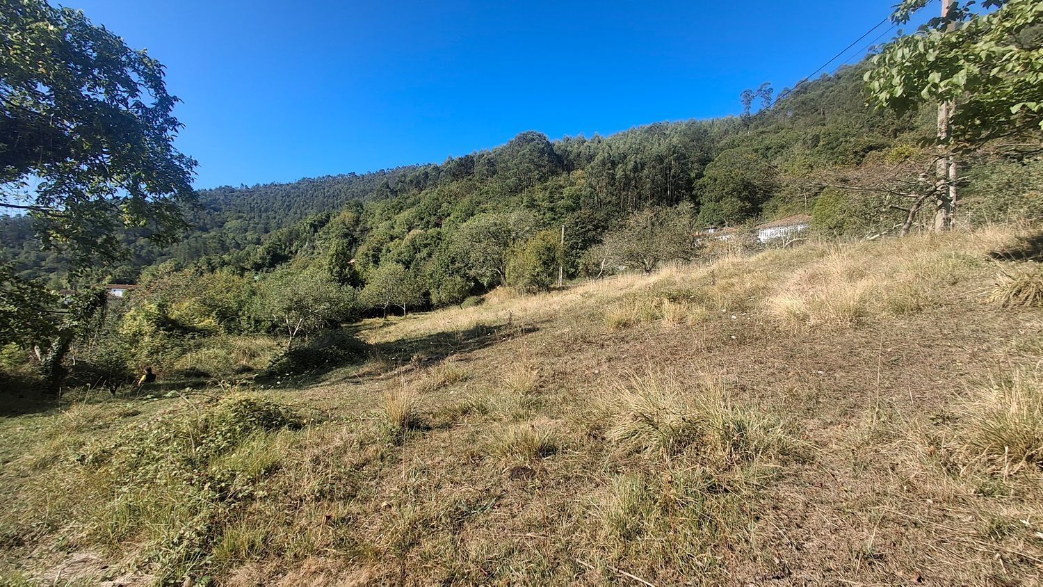 Fincas y solares-Venta-Villaviciosa-1969765-Foto-14