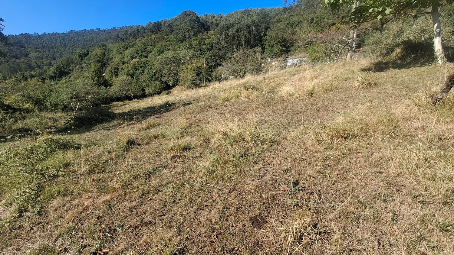 Fincas y solares-Venta-Villaviciosa-1969765-Foto-17