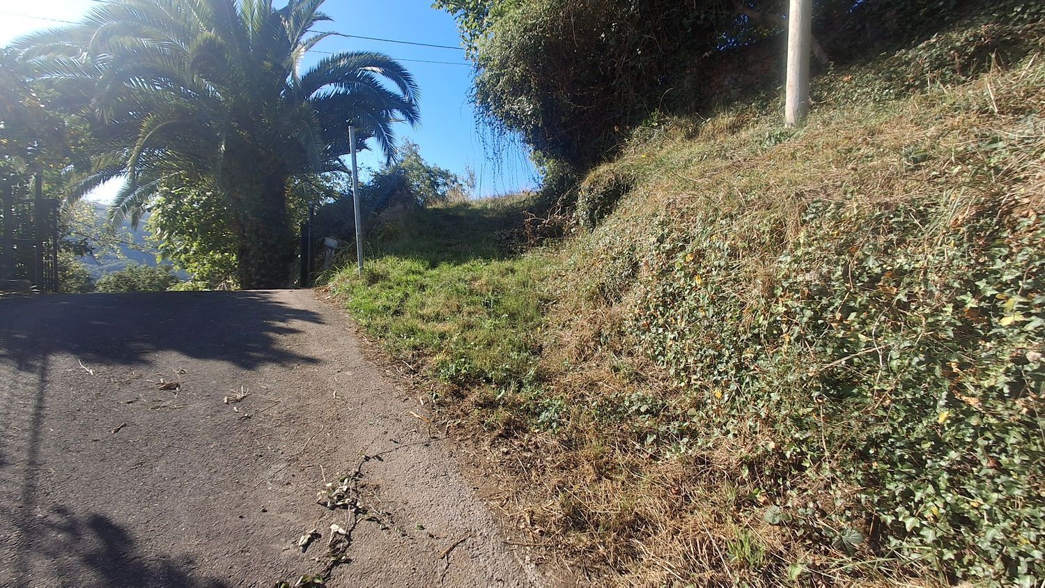 Fincas y solares-Venta-Villaviciosa-1969765-Foto-26