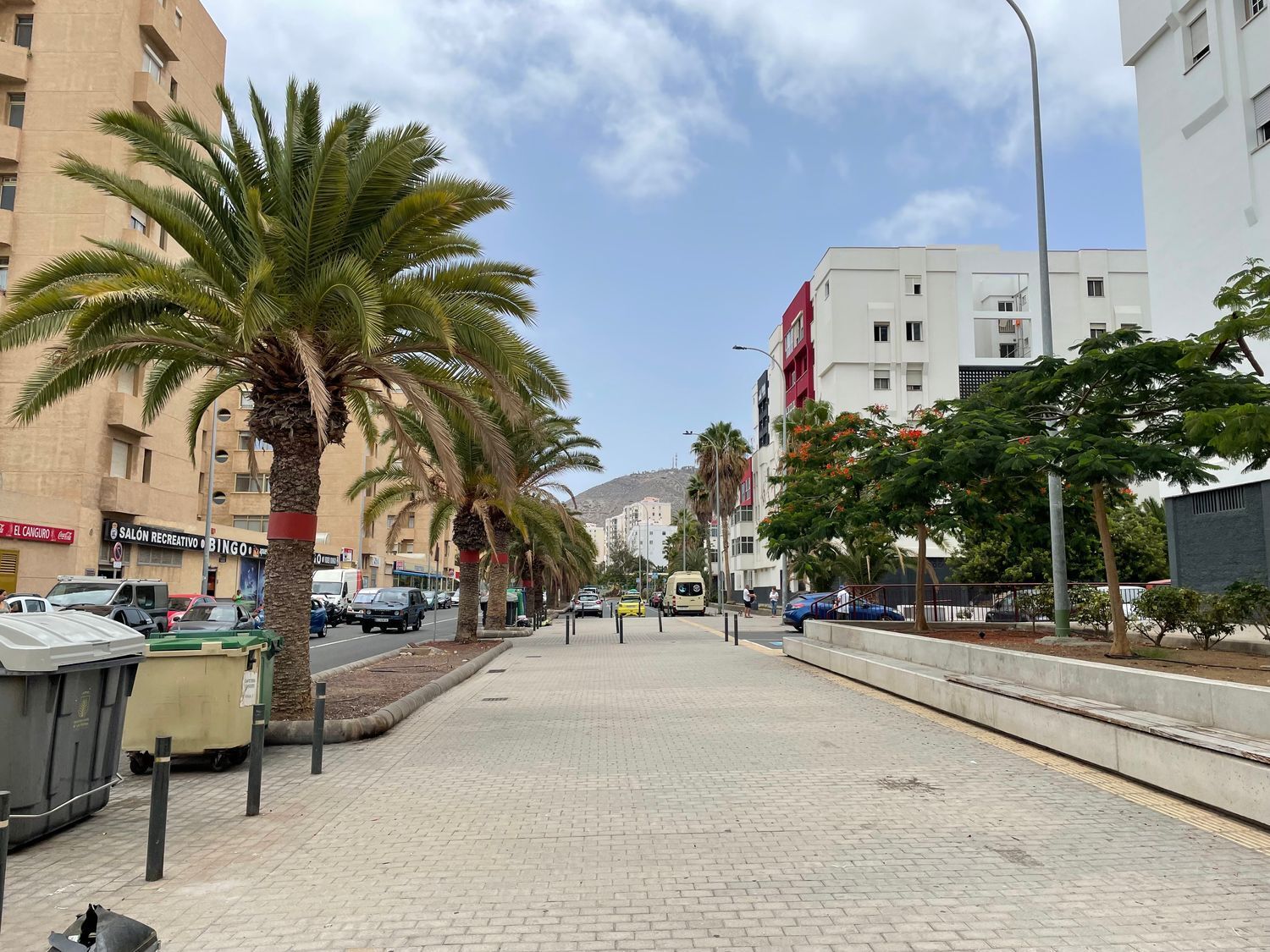 Pisos-Alquiler-Las Palmas de Gran Canaria-728254-Foto-2