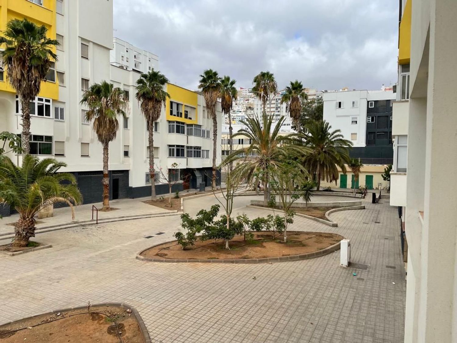 Pisos-Alquiler-Las Palmas de Gran Canaria-728254-Foto-27