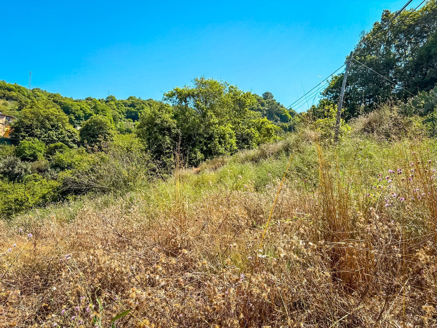 Fincas y solares-Venta-Valleseco-1904774-Foto-9