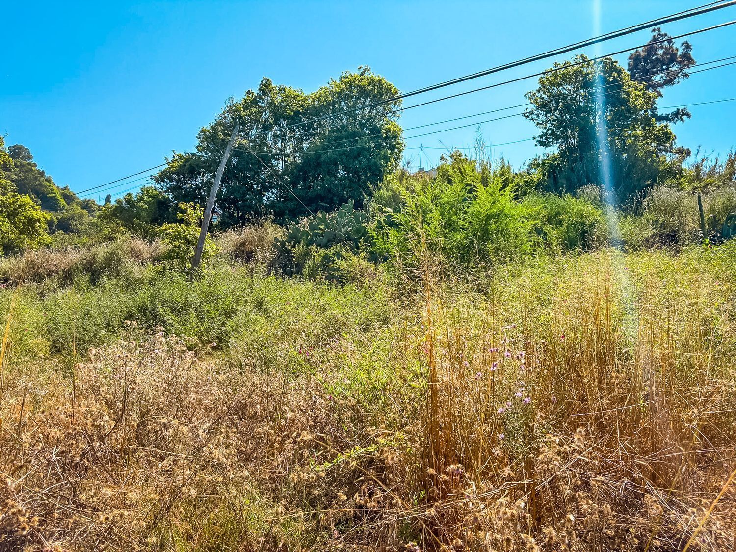 Fincas y solares-Venta-Valleseco-1904774-Foto-13