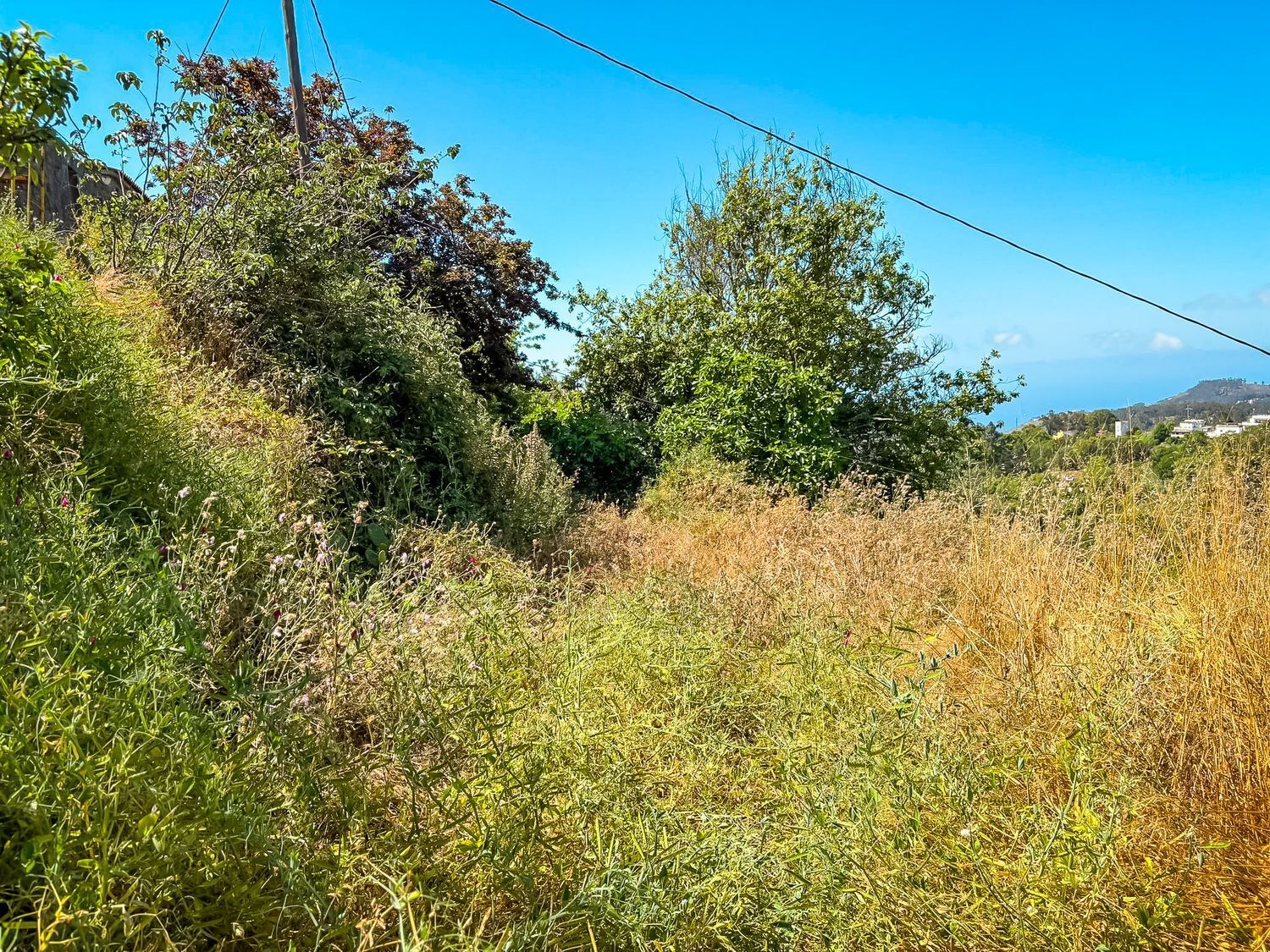 Fincas y solares-Venta-Valleseco-1904774-Foto-14